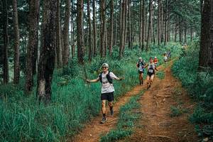 BIB: 
                            <button type="button" onclick="openModal(25659207)" class="btn btn-primary btn-sm float-right btn-popup" data-toggle="modal" data-target=".modal-high-quality">
                        <i class="fas fa-shopping-cart"></i> Add to Cart
                    </button>
                                            <button type="button" onclick="isThisMe(25659207, true)" class="btn btn-success btn-sm float-right btn-popup btn-isme hidden" data-toggle="tooltip" data-placement="bottom" title="นี่คือรูปของคุณใช่ไหม คลิกที่นี่เพื่อเอาเข้าอัลบั้ม">
                        <i class="fas fa-plus"></i> Add to album
                    </button>
                    <button type="button" onclick="isThisMe(25659207, false)" class="btn btn-warning btn-sm float-right btn-popup btn-isnotme hidden">
                        <i class="fas fa-ban"></i> Remove from album
                    </button>